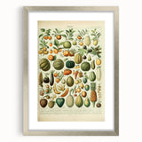 Vintage Botanical Art Prints: Fresh Fruit Illustration Wall Art