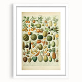 Vintage Botanical Art Prints: Fresh Fruit Illustration Wall Art