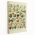 Vintage Botanical Art Prints: Fresh Fruit Illustration Wall Art