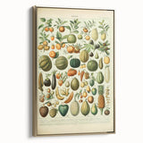Vintage Botanical Art Prints: Fresh Fruit Illustration Wall Art