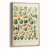 Vintage Botanical Art Prints: Fresh Fruit Illustration Wall Art