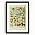 Vintage Botanical Art Prints: Elegant Fruit Illustration Wall Art