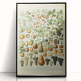 Vintage Botanical Art Prints: Elegant Fruit Illustration Wall Art