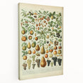 Vintage Botanical Art Prints: Elegant Fruit Illustration Wall Art