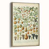 Vintage Botanical Art Prints: Elegant Fruit Illustration Wall Art