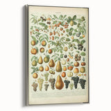Vintage Botanical Art Prints: Elegant Fruit Illustration Wall Art