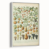 Vintage Botanical Art Prints: Elegant Fruit Illustration Wall Art