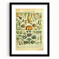 Vintage Botanical Art Prints: Detailed Vegetable Illustration Wall Art