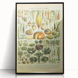 Vintage Botanical Art Prints: Detailed Vegetable Illustration Wall Art