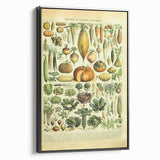 Vintage Botanical Art Prints: Detailed Vegetable Illustration Wall Art