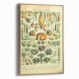 Vintage Botanical Art Prints: Detailed Vegetable Illustration Wall Art