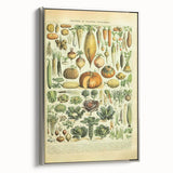 Vintage Botanical Art Prints: Detailed Vegetable Illustration Wall Art
