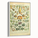 Vintage Botanical Art Prints: Detailed Vegetable Illustration Wall Art