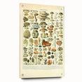 Vintage Botanical Art Prints: Intricate Mushroom Illustration Wall Art