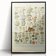 Vintage Botanical Art Prints: Intricate Mushroom Illustration Wall Art