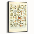 Vintage Botanical Art Prints: Intricate Mushroom Illustration Wall Art