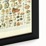 Vintage Botanical Art Prints: Intricate Mushroom Illustration Wall Art