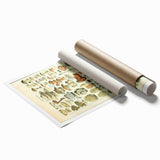 Vintage Botanical Art Prints: Intricate Mushroom Illustration Wall Art