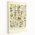 Vintage Botanical Art Prints: Intricate Mushroom Illustration Wall Art