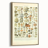Vintage Botanical Art Prints: Intricate Mushroom Illustration Wall Art