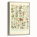 Vintage Botanical Art Prints: Intricate Mushroom Illustration Wall Art