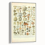 Vintage Botanical Art Prints: Intricate Mushroom Illustration Wall Art