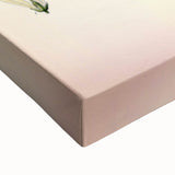 Vintage Botanical Illustration of Fraxinus – Botanical Art Prints