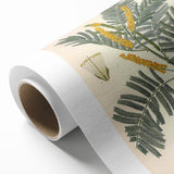 Vintage Botanical Illustration of Acacia – Botanical Art Prints