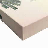 Vintage Botanical Illustration of Acacia – Botanical Art Prints