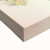 Vintage Botanical Illustration of Anise – Botanical Art Prints