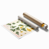 Vintage Botanical Illustration of Citrullus – Botanical Art Prints