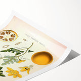 Vintage Botanical Illustration of Citrullus – Botanical Art Prints