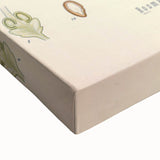 Vintage Botanical Illustration of Rosemary – Botanical Art Prints