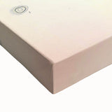 Vintage Botanical Illustration of Rose – Botanical Art Prints