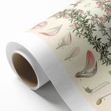 Vintage Botanical Illustration of Ononis – Botanical Art Prints