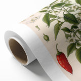 Vintage Botanical Illustration of Capsicum – Botanical Art Prints