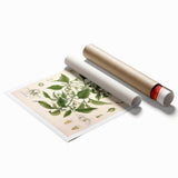 Vintage Botanical Illustration of Capsicum – Botanical Art Prints