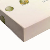 Botanical Art Prints: Vintage Callitris Quadrivalvis Illustration