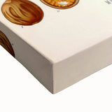 Botanical Art Prints: Myristica Fragrans Vintage Illustration