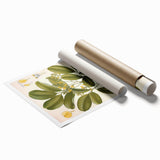 Botanical Art Prints: Pterocarpus Marsupium Vintage Illustration