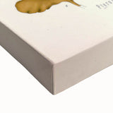 Botanical Art Prints: Pterocarpus Marsupium Vintage Illustration