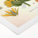 Botanical Art Prints: Gentiana Lutea Vintage Illustration