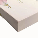 Botanical Art Prints - Vintage Glycyrrhiza Glabra Illustration