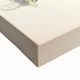 Botanical Art Prints - Vintage Camellia Thea Illustration