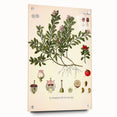 Botanical Art Prints - Vintage Arctostaphylos Uva Ursi Illustration