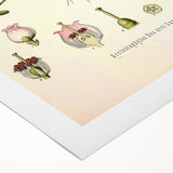 Botanical Art Prints - Vintage Arctostaphylos Uva Ursi Illustration