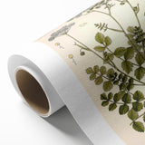 Vintage Botanical Illustration of Pimpinella Plant Art Print