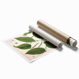 Vintage Botanical Illustration of Piper Plant Art Print