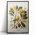 Vintage Botanical Illustration Art - Palaquium Gutta Burck Plant Print