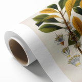 Vintage Botanical Illustration Art - Palaquium Gutta Burck Plant Print